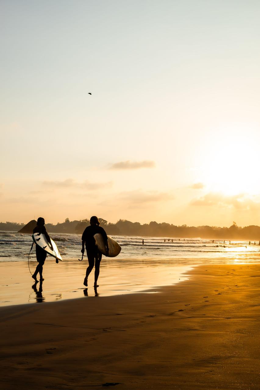 Surf the Indian Ocean